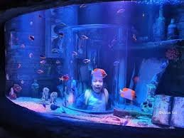 LEGOLAND® Malaysia SEA LIFE