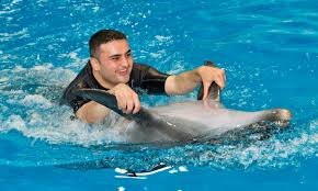Dubai Dolphinarium/ Dolphin & Seal Show Tickets
