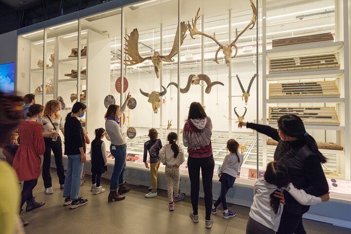 American Museum of Natural History Tickets + 1 Ticketed Exhibition