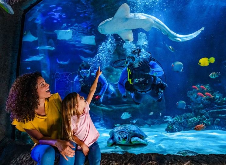ICON Park Attraction Package: The Orlando Eye, Madame Tussaud's and SEA Life Aquarium