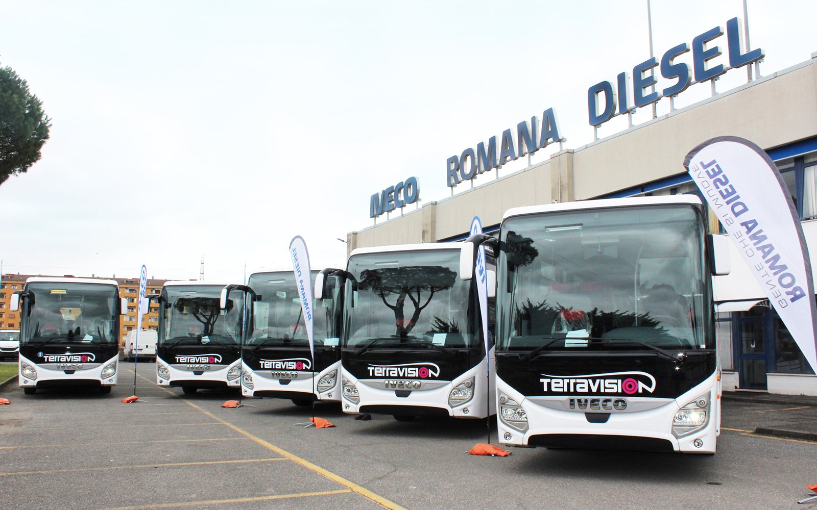 Bus Transfers: Rome Ciampino Airport to/from Rome City Center by Terravision