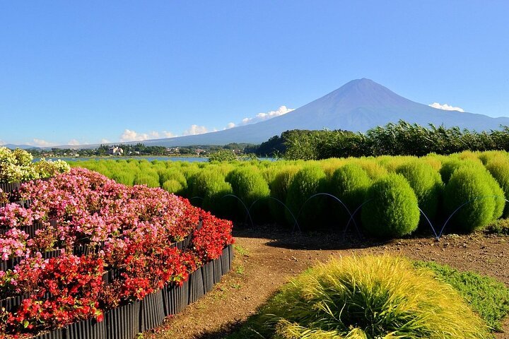 Mount Fuji Tour with Hakone Ropeway, Lake Ashi, Hakone Shrine, & More