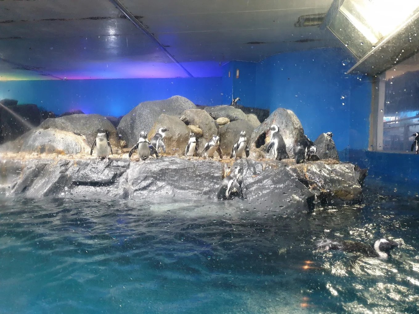 Combo (Save 13%): Langkawi Underwater World + Any 1 Langkawi Attraction Tickets [Non- Malaysian Citizens]