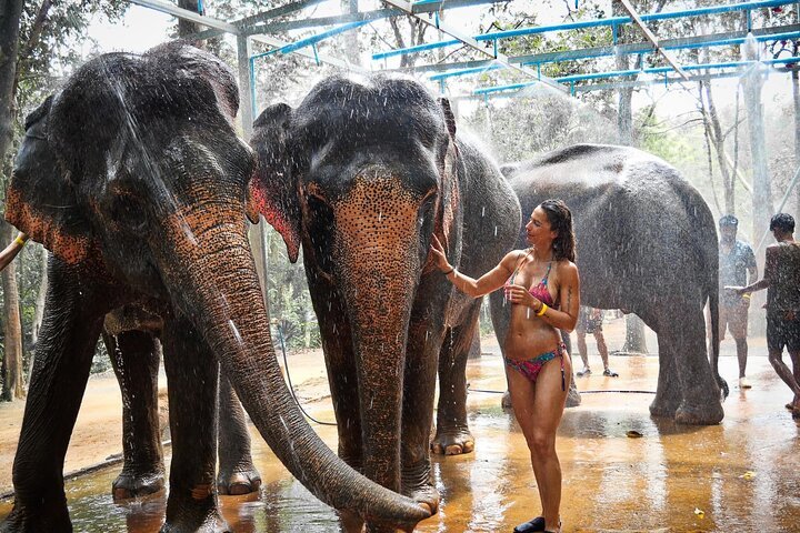 Krabi Elephant Shelter Experience with Hotel Transfers