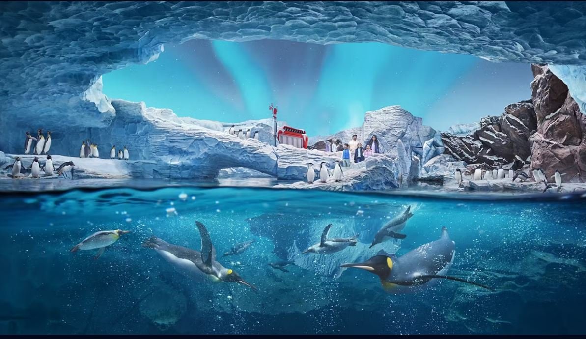 SeaWorld Abu Dhabi Tickets