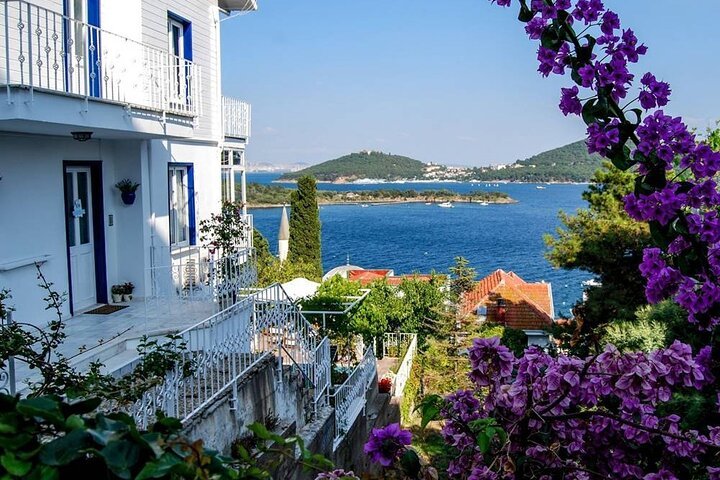 Istanbul to Princes' Islands Full-Day Guided Tour