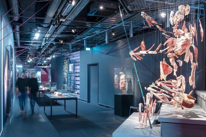 Berlin BODY WORLDS Museum Tickets