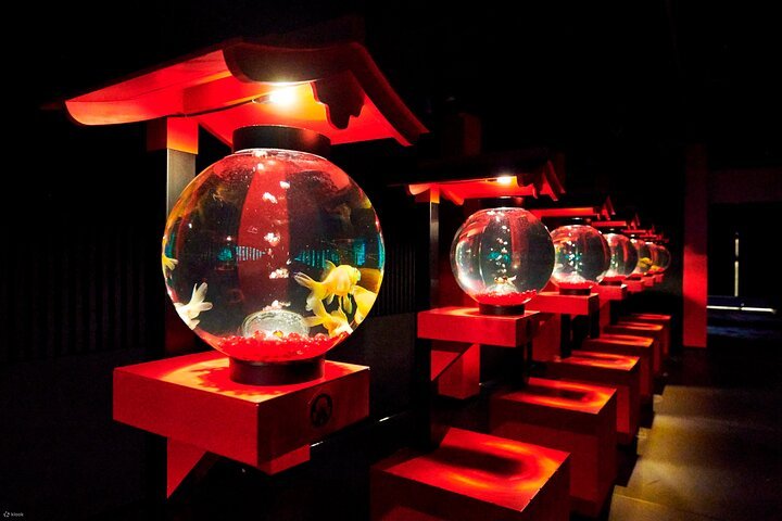 Art Aquarium Museum Ginza Tickets